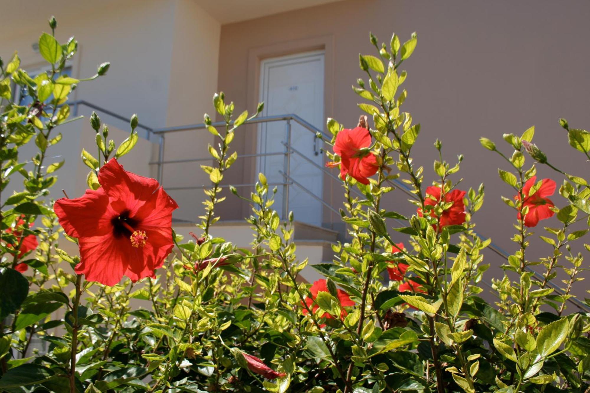 Amaryllis Front Beach Hotel Lardos Zewnętrze zdjęcie