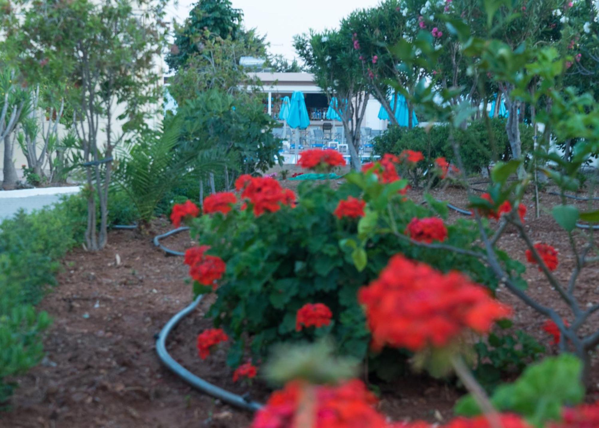 Amaryllis Front Beach Hotel Lardos Zewnętrze zdjęcie